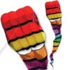 Killip 45 Foil Kite - Warm With 45 Ft. Banner Tail -Default Template 6 06 12795lg 41438.1580157096