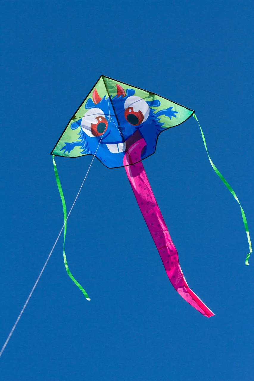 Simple Flyer Zeke 4 Simple Flyer Zeke - Image 2