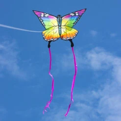 ECOLINE BUTTERFLY KITE RAINBOW -Default Template 6 102223 g41 18763.1696107230