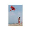 Red Baron Tri-Plane Kite 2 Red Baron Tri-Plane Kite -Default Template 6 11043 2 55104.1672269289