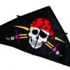 55” Pirate Delta Kite -Default Template 6 11181 18937.1689541694
