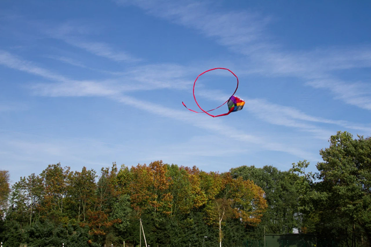 Multi-Kite "Camouflage" 7 Multi-Kite "Camouflage" - Image 5