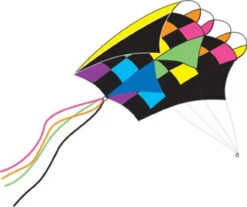 Parafoil 5 Kite - Rainbow Tecmo