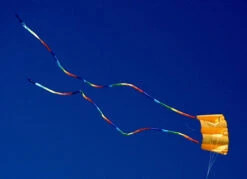 36 Power Sled - Mango -Default Template 6 122236149 10222812785484652 6932807971459342641 n 12145.1608598506