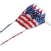 Killip 20 Foil Kite - Patriotic With 50 Ft. Fuzzy Tail -Default Template 6 12781 large 67511.1710469424