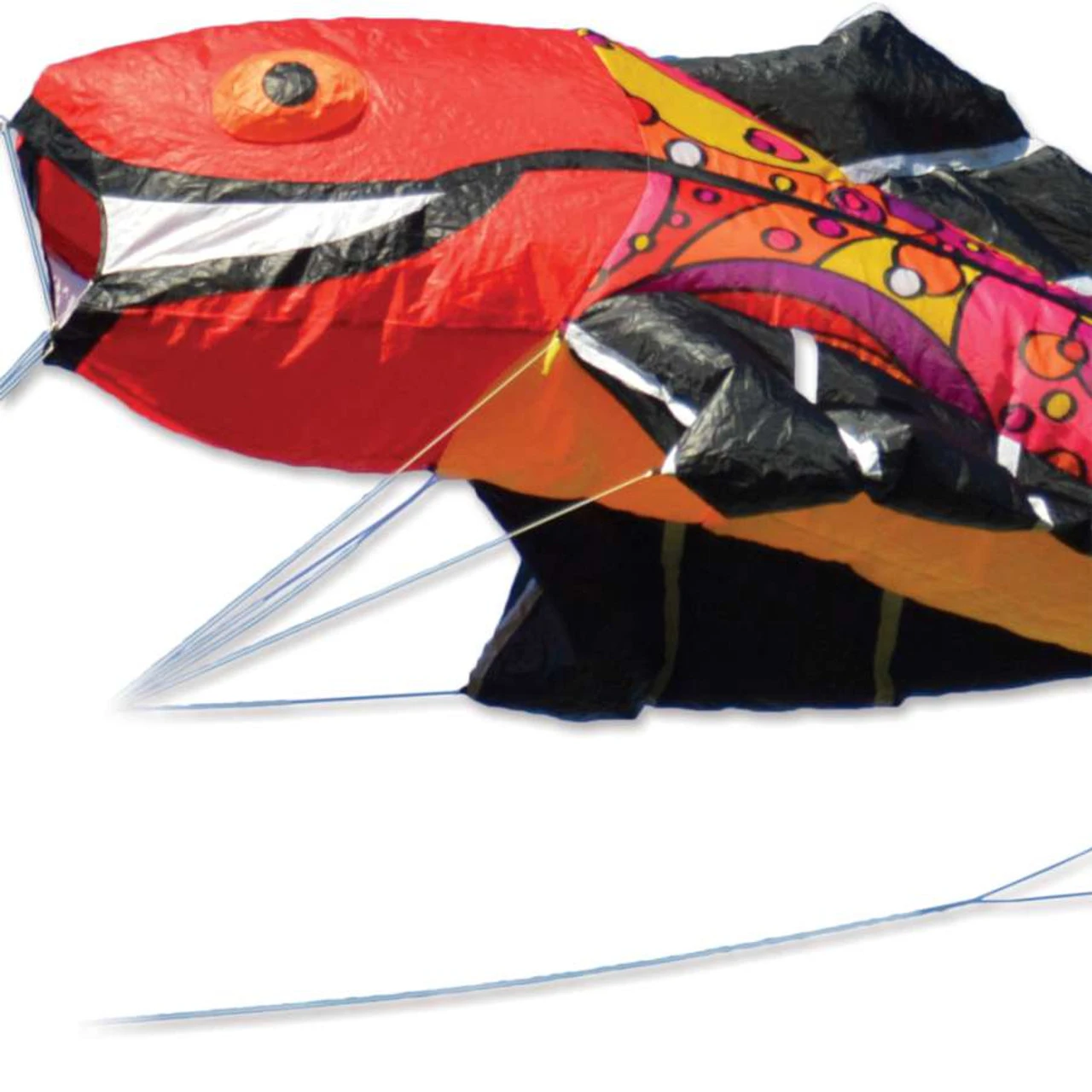 Large Flying Fish - Warm Orbit 3 Large Flying Fish - Warm Orbit