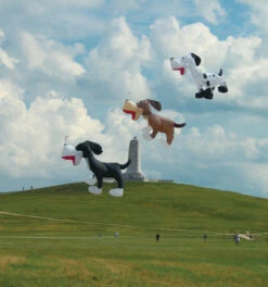 Dogs - Skippy Jr Inflatable -Default Template 6 13101 3p DavidHoltDogs location 52380.1399840817