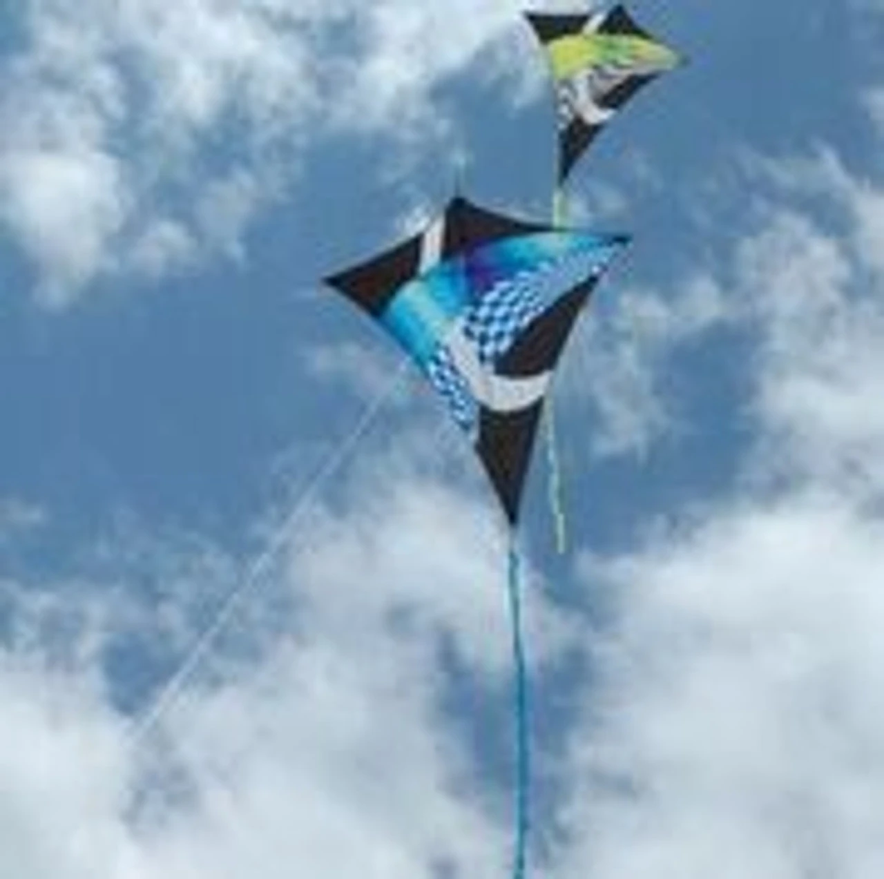 65" Borealis Sky-Shark Diamond Kite - Neon Tronic 5 65" Borealis Sky-Shark Diamond Kite - Neon Tronic - Image 3