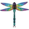 Dragonfly Rainbow Glimmer -Default Template 6 16113 28827.1580158543