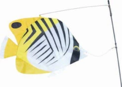 Premier® Fish - Threadfin Butterfly Fish