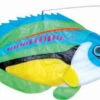 Premier® Swimming Fish - Peacock Wrasse -Default Template 6 26511 peacock wrasse 34889.1332809606