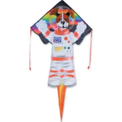 Large Easy Flyer (Dog Side Of The Moon)