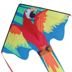 Large Easy Flyer (Macaw) -Default Template 6 44268p Macaw zoom 43080.1556160003