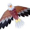 Bald Eagle -Default Template 6 44933p BaldEagle zoom 64069.1568639104