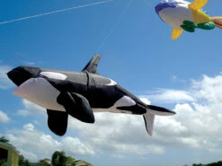 Killer Whale - Inflatable -Default Template 6 45985p killerwhale location2 65193.1403113401