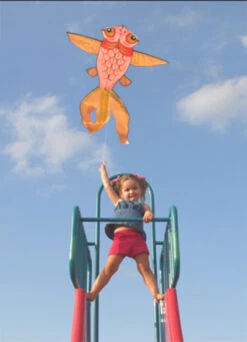 Goldfish - NT 5 Goldfish - NT -Default Template 6 54070 Goldfish 18317.1367887132