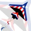 2D Stars & Stripes Airplane Kite