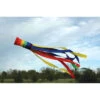 Premier® 60 In. Rainbow Column Windsock -Default Template 6 77810 1 73151.1663883258