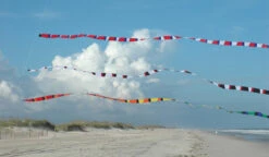 Transition Tails - Patriotic 25 Ft.