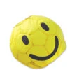 Premier® 13" Smiley Ball With 60" Pole & Wall Mount -Default Template 6 99503 99513 99523p smileyball 63653db6 0f09 4fa4 bb5e 2610a6f73df2 04218.1523543104