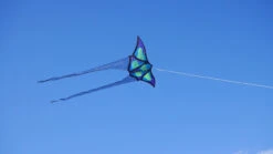 Brasington Butterfly -Default Template 6 Butterfly2 59892.1493946484