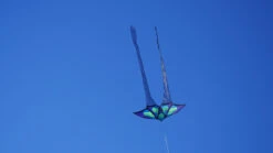 Brasington Butterfly -Default Template 6 Butterfly3 51128.1493946484