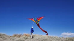 Hespeler Giant Dragon -Default Template 6 Dragon 3 27408.1484502248