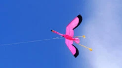 Flamingo 3D -Default Template 6 Flamingo3 26854.1511886725