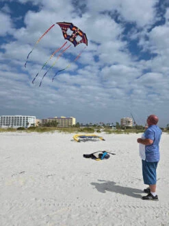 Swept Wing Double Box Delta -Default Template 6 IMG 1155 89319.1707834402