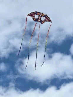 Swept Wing Double Box Delta -Default Template 6 IMG 1166 33143.1707834422