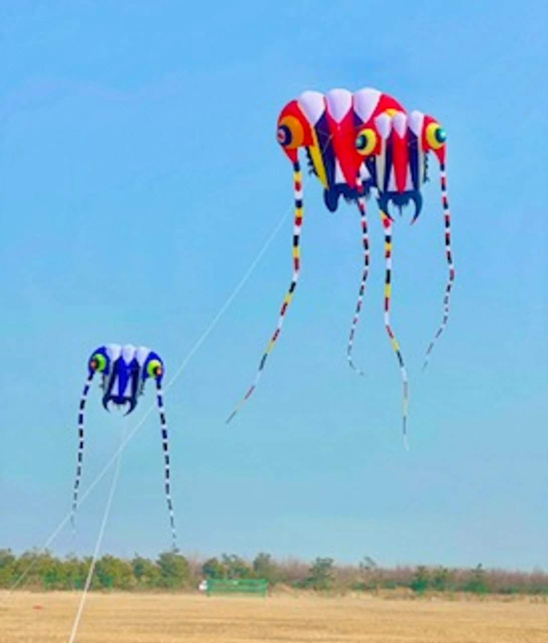 10M Trilobite Inflatable 3 10M Trilobite Inflatable