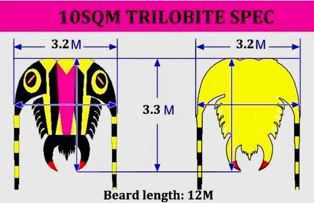 10M Trilobite Inflatable 4 10M Trilobite Inflatable - Image 2