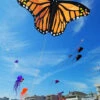 Giant 10-ft Monarch Butterfly Kite -Default Template 6 IMG 20170924 193700 63086.1535325820