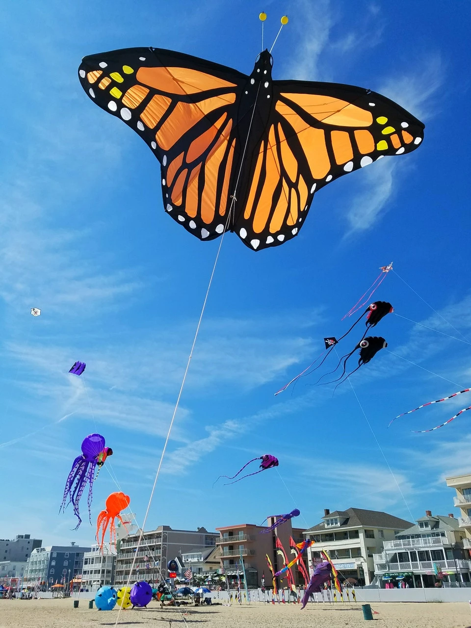 Giant 10-ft Monarch Butterfly Kite 3 Giant 10-ft Monarch Butterfly Kite
