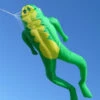 Le Frog 4.2M Inflatable 2 Le Frog 4.2M Inflatable -Default Template 6 Le Frog 23422.1337636052