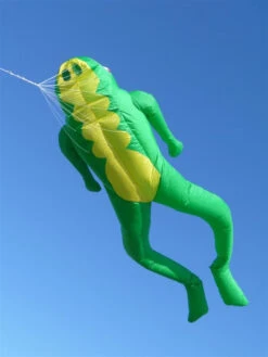 Le Frog 4.2M Inflatable