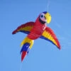 Macaw - Inflatable -Default Template 6 Macaw 9 ft. 72476.1339802828