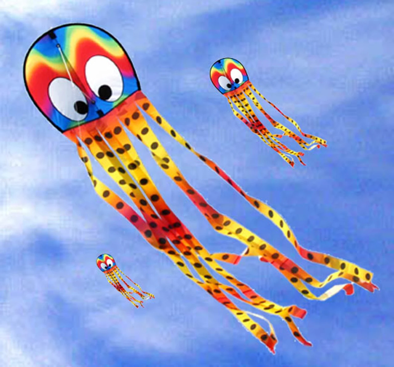 Squeaky Octopus - Hot 3 Squeaky Octopus - Hot