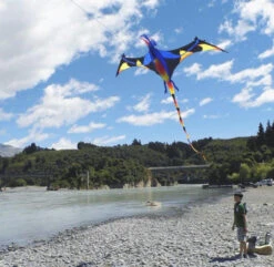 Black Wing Pterodactyl -Default Template 6 Pterodactyl4 16860.1518376928