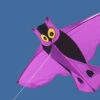 Owl Kite - Joel Scholz -Default Template 6 Scholz Owl 1 72333.1607720503