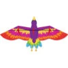 Rainbow Bird -Default Template 6 media c83fe211 c0bb 410b 8911 9dc11f8ffe69 13024.1520797883