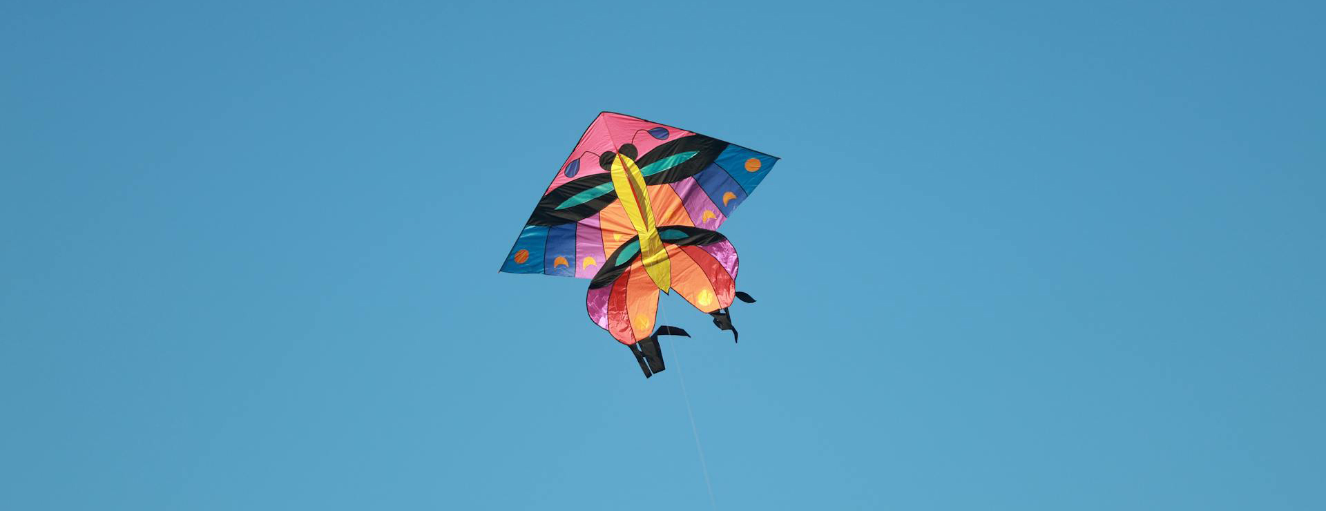 Default Template 6 -Default Template 6 pexels andy lee 222330306 30306424