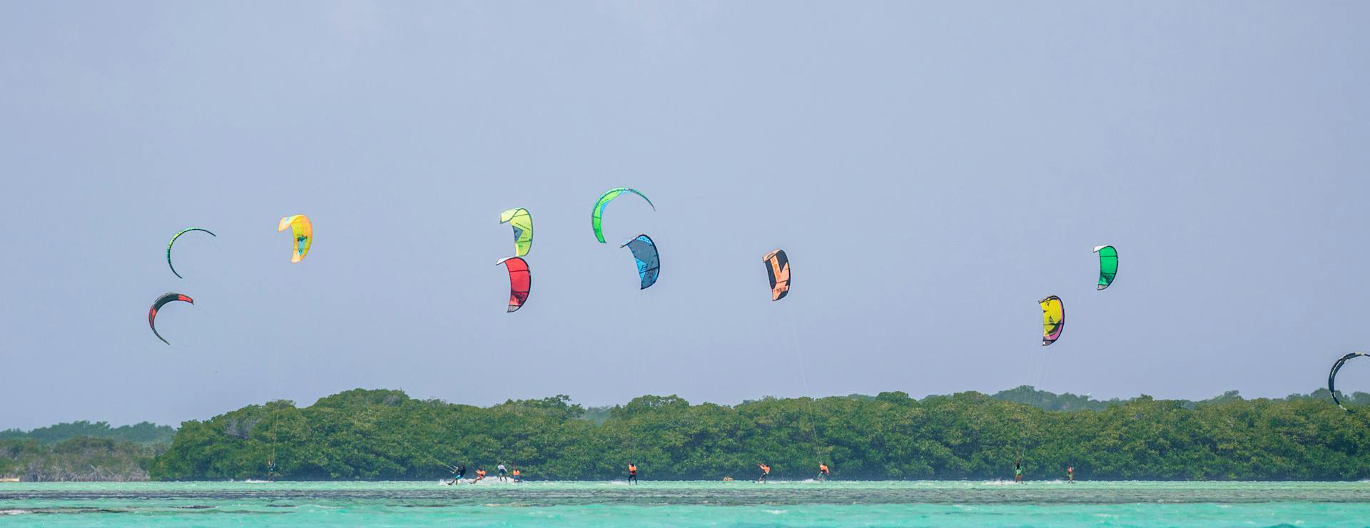 Default Template 6 -Default Template 6 pexels fukajaz 18545238