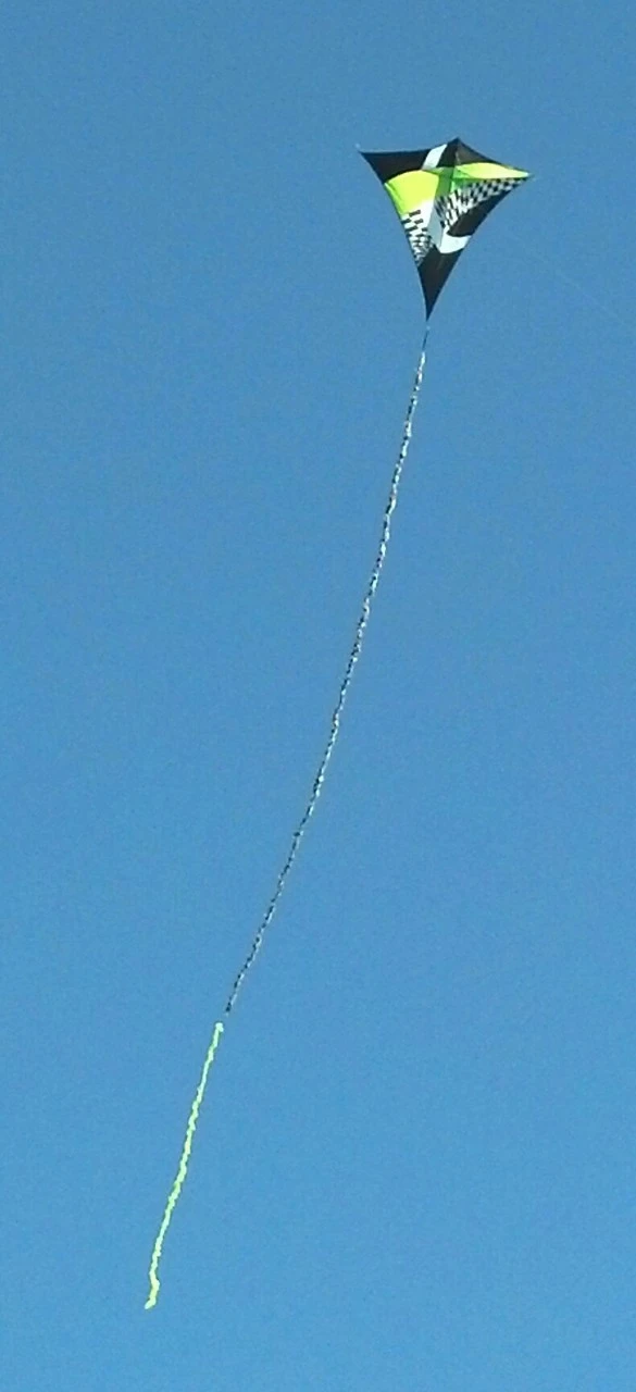 65" Borealis Sky-Shark Diamond Kite - Neon Tronic 4 65" Borealis Sky-Shark Diamond Kite - Neon Tronic - Image 2