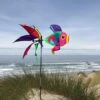 RAINBOW DAMSELFISH SPINNER -Default Template 6 prd2 lg 002740 93750.1688945380